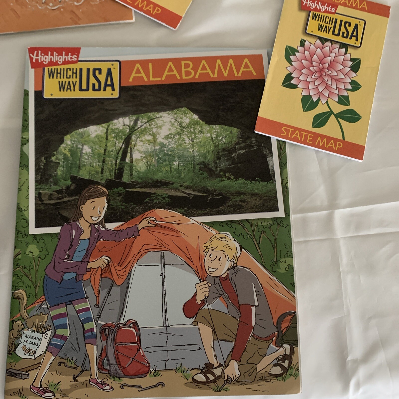 Highlights Which Way USA State Activity Books Map Lot of 8 Home School 2013-2014