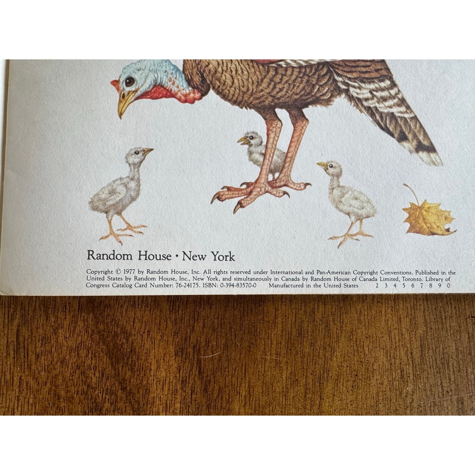 Vintage Dinosaurs My Little Hen 1970s Random House Book Lot