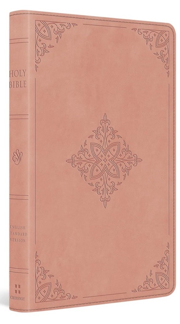 ESV Large Print Value Thinline Bible: Holy Bible, English Standard Version