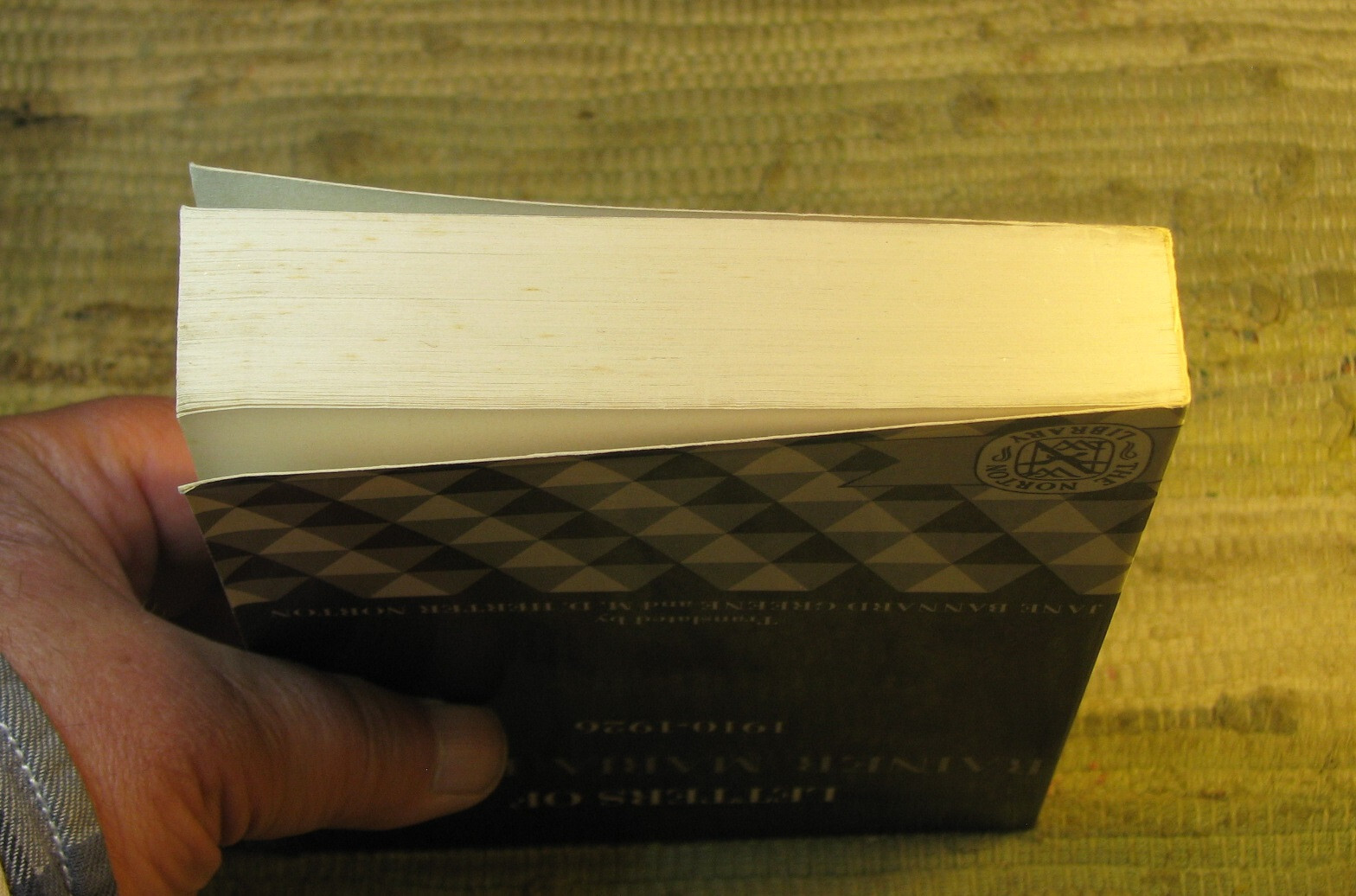 LETTERS OF RAINER MARIA RILKE 1892-1910 & 1910-1926 ©1972 Norton Library Paperba