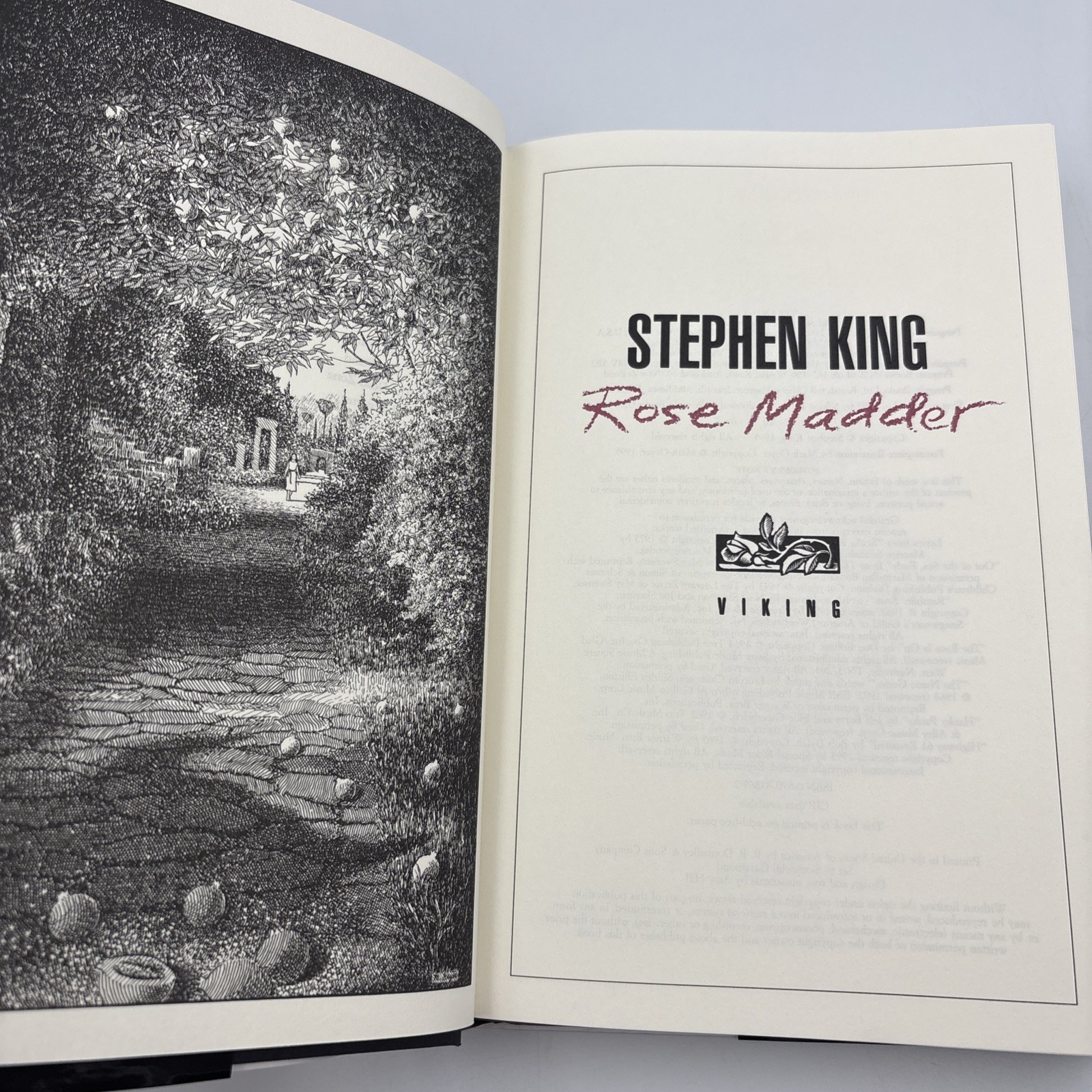 Rose Madder Stephen King 1995 Hardcover Horror Thriller VG