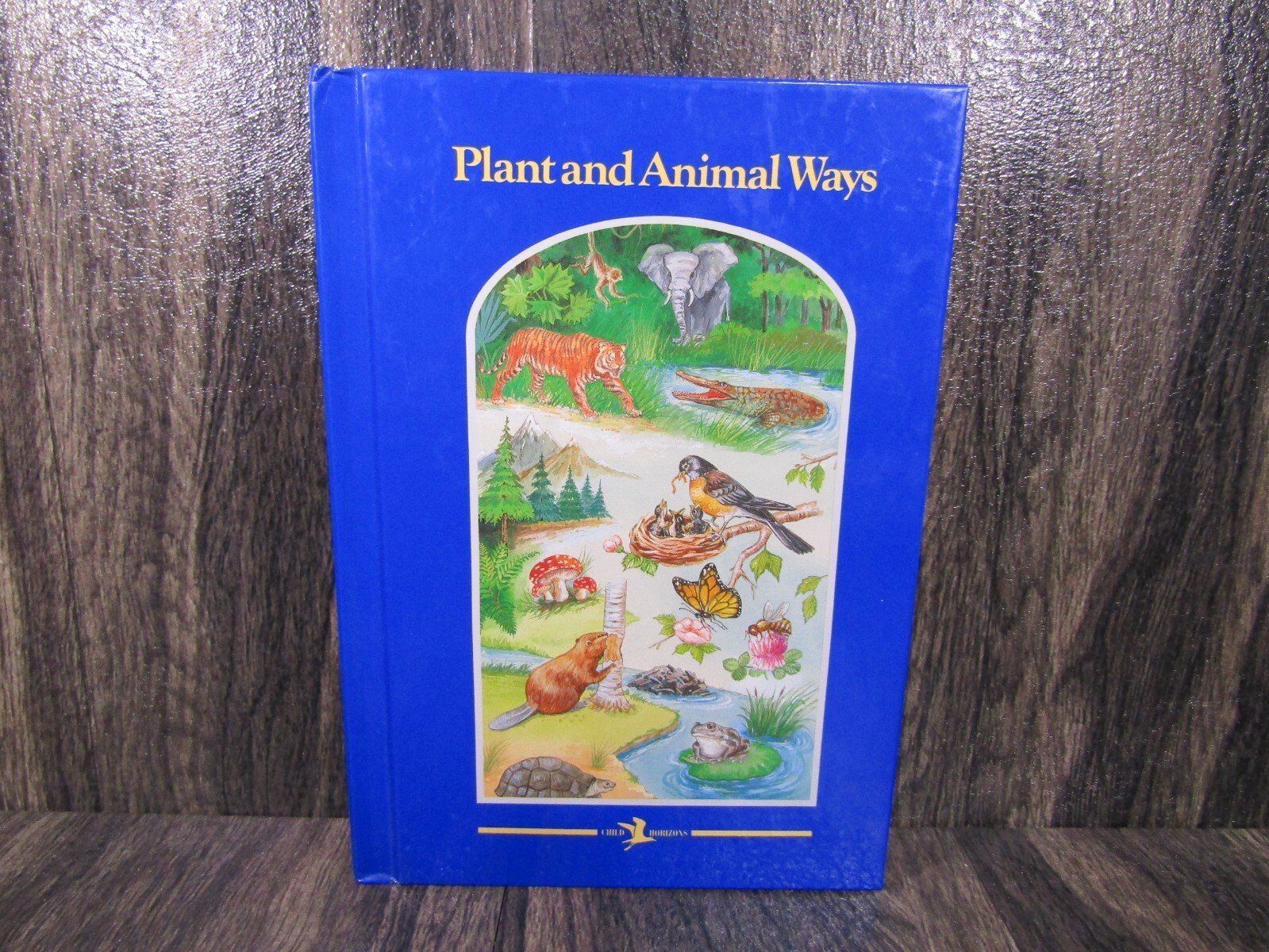 Vintage 1996 Child Horizons 6 Hard Book Lot Home Schooling Educational Readers