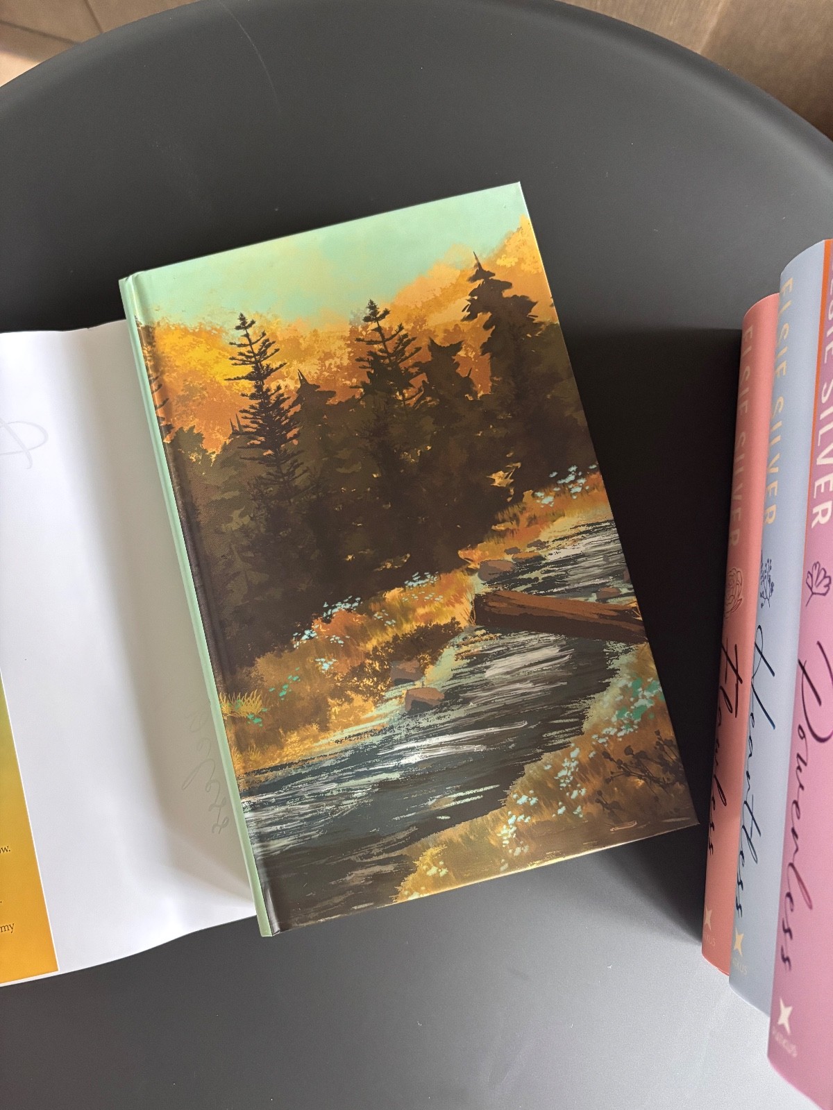 Fairyloot Chestnut Springs Series UNSIGNED by Elsie Silver Special Edition Set
