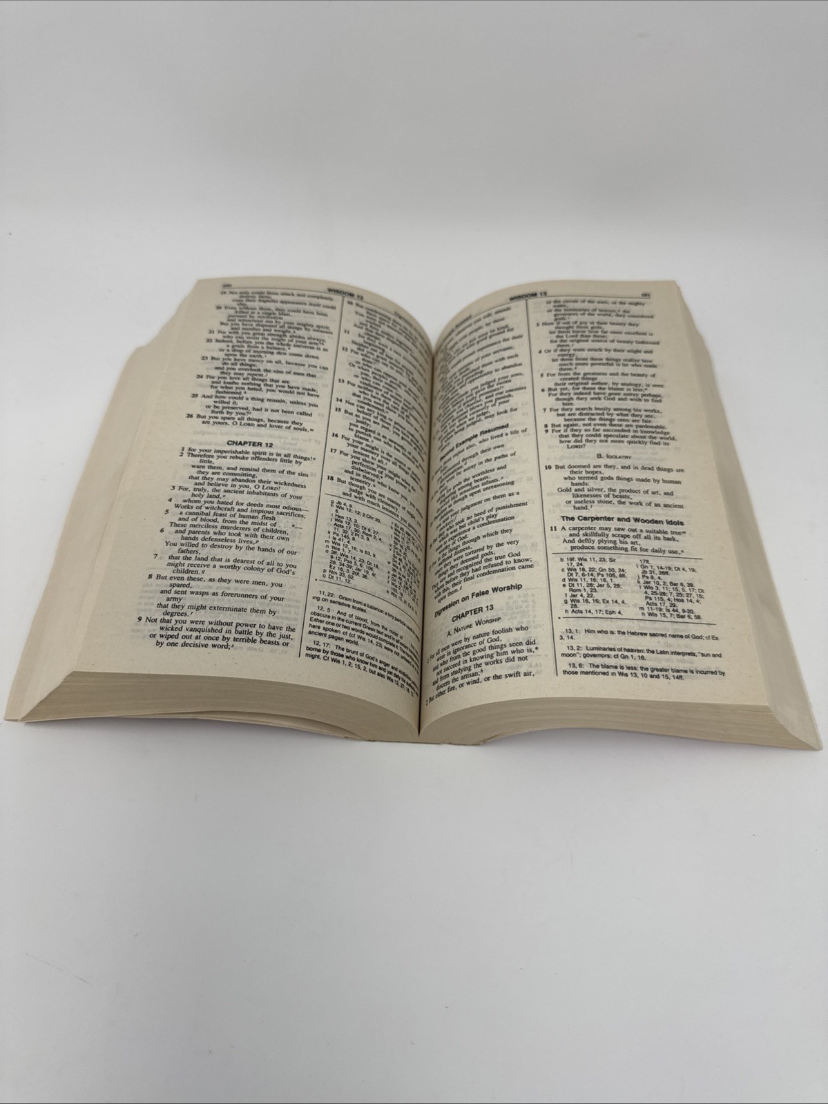 The New American Bible World Catholic Press 1991 PB