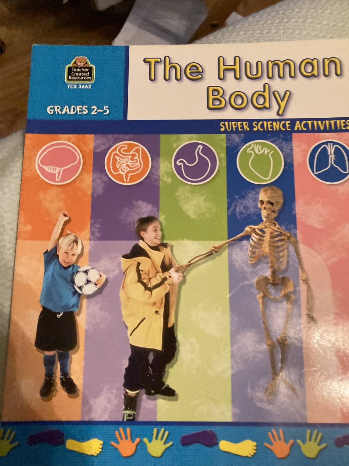 Super Science Activities Ser.: The Human Body by Ruth Young (2002, Trade…