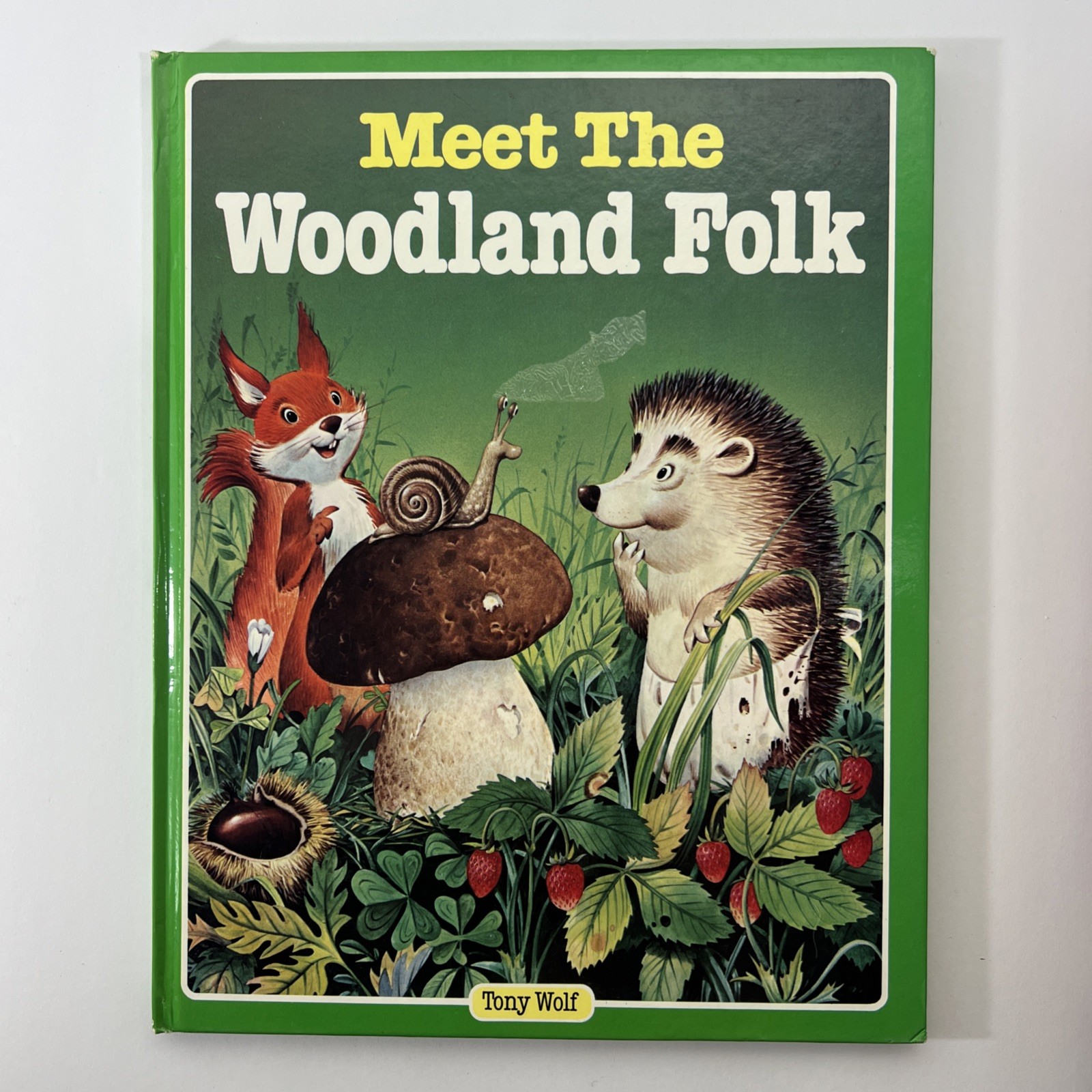 Set of 5 – The Woodland Folk Books – Gnomes Elves Fairies Dragons – Tony Wolf