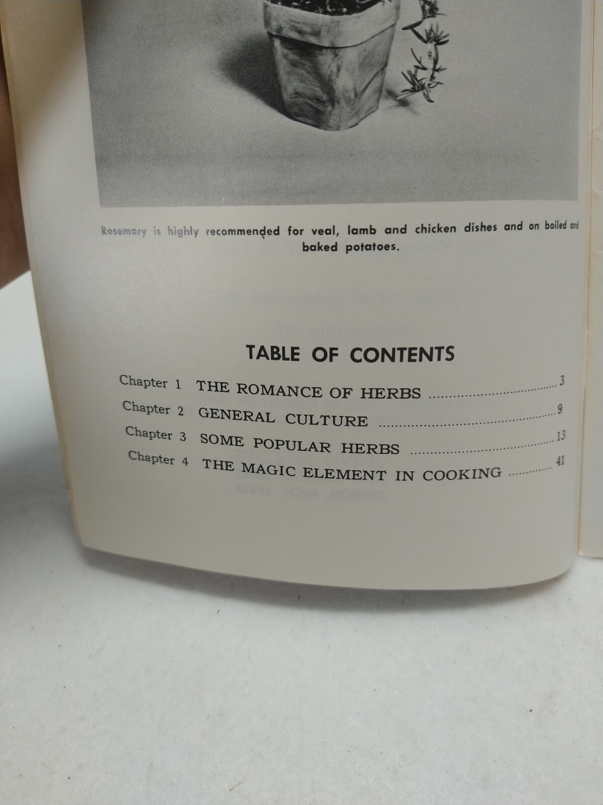 Herb Gardening Countryside Books 1976 Booklet