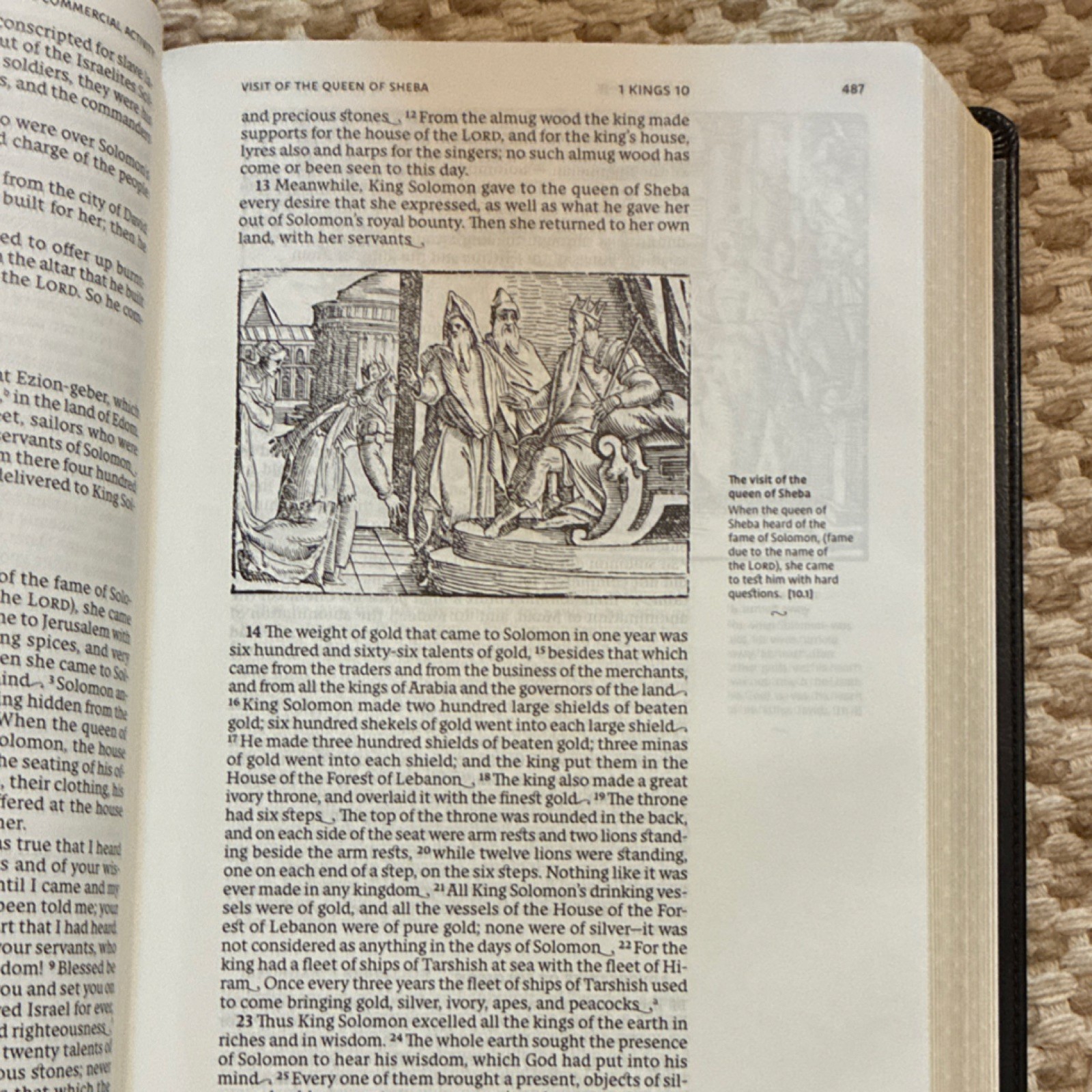 Catholic Bible Press NRSV Illustrated Catholic Bible Catholic Ed LeatherSoft