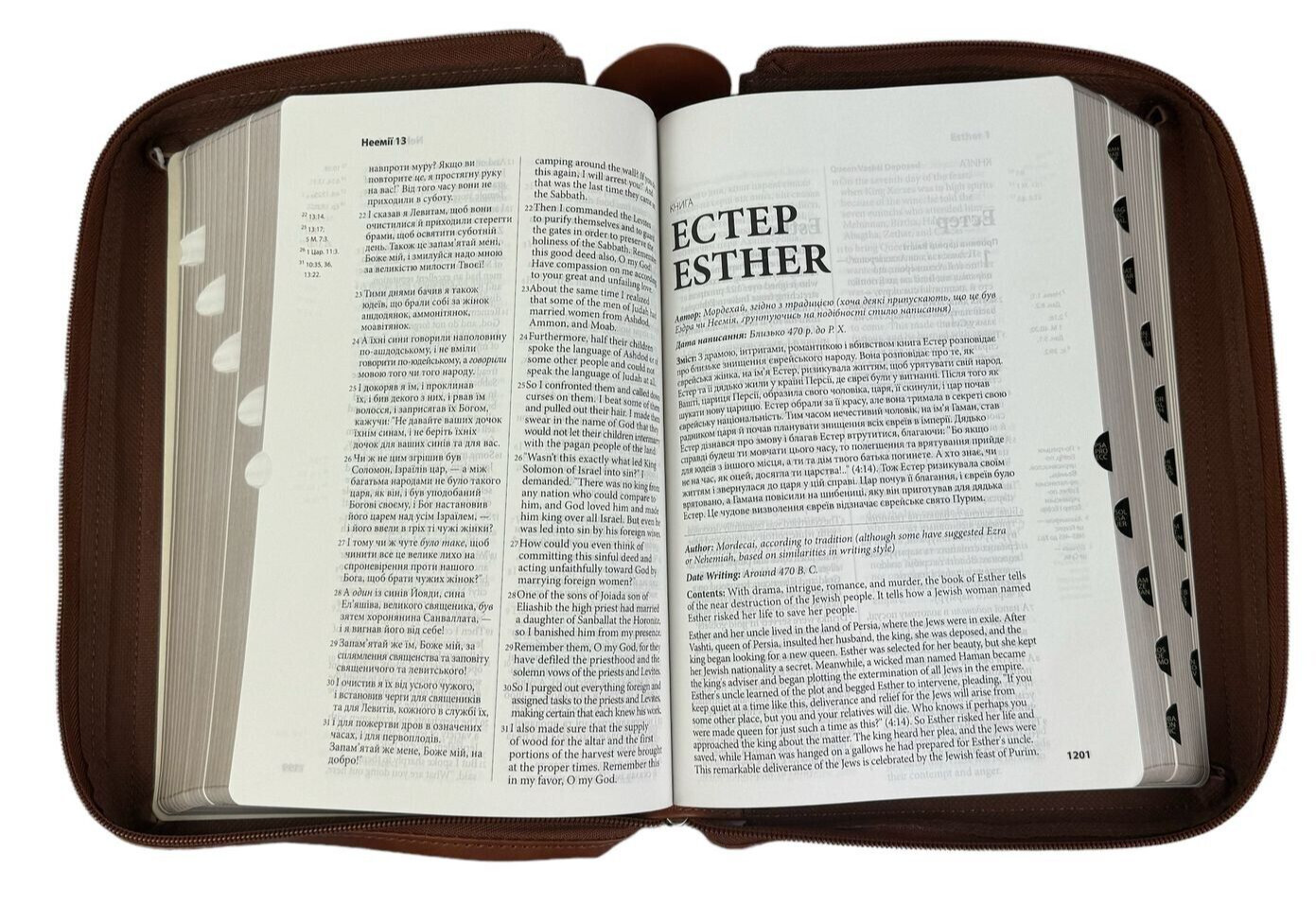 Ukrainian-English Bible parallel text NLT/Ogienka – Українсько-Англійська Біблія