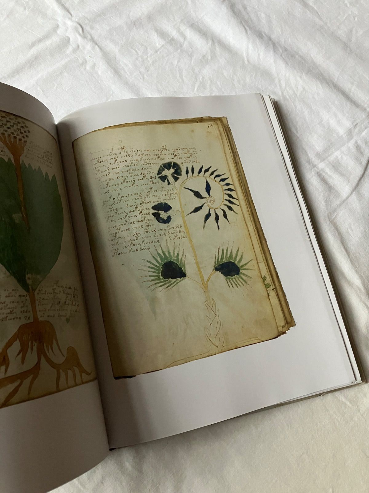 Voynich Manuscript Facsimile 1912 Yale Univ Press 31x24cm Used