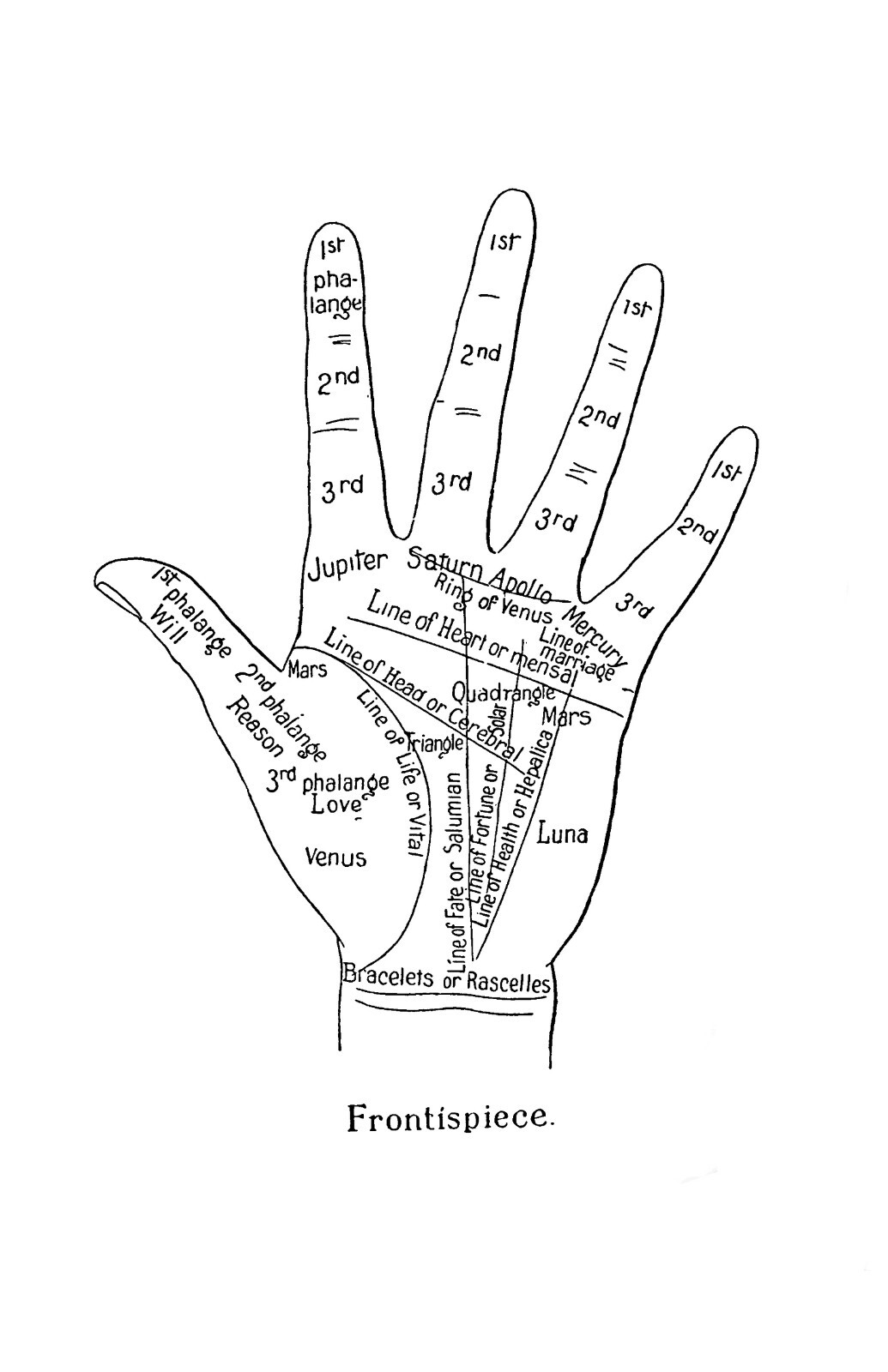 1893 The grammar of palmistry 111 Pages