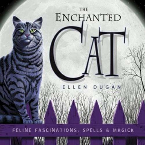 The Enchanted Cat: Feline Fascinations, Spells and Magick – Paperback – GOOD