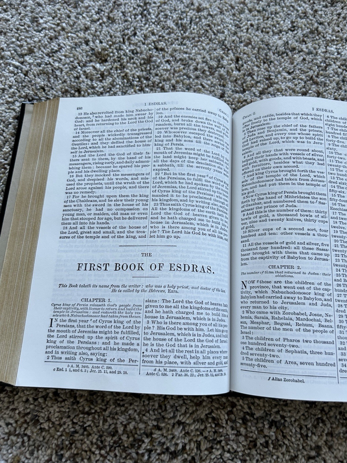 The Holy Bible Douay Rheims Version Catholic 1989 Orthodox Hardcover Black F26