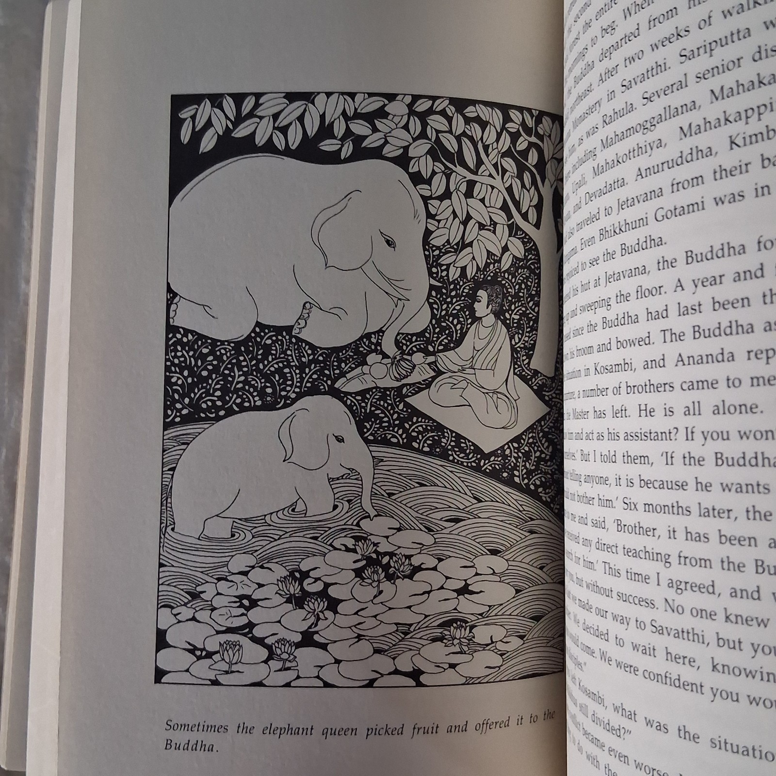 Old Path White Clouds : Walking in the Footsteps of the Buddha – PB