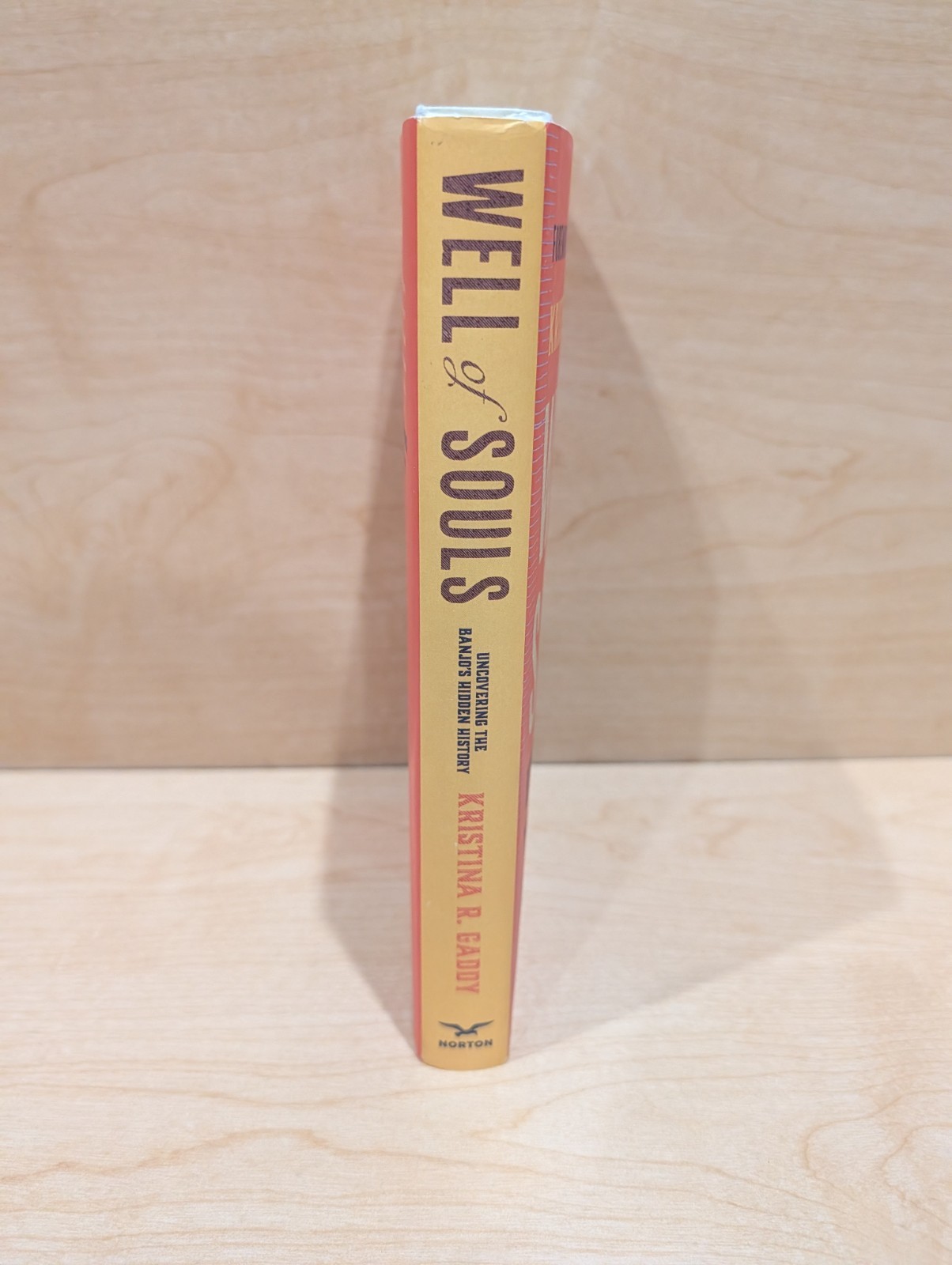 Well Of Souls By Kristina R Gaddy – Uncovering The Banjos Hitting History