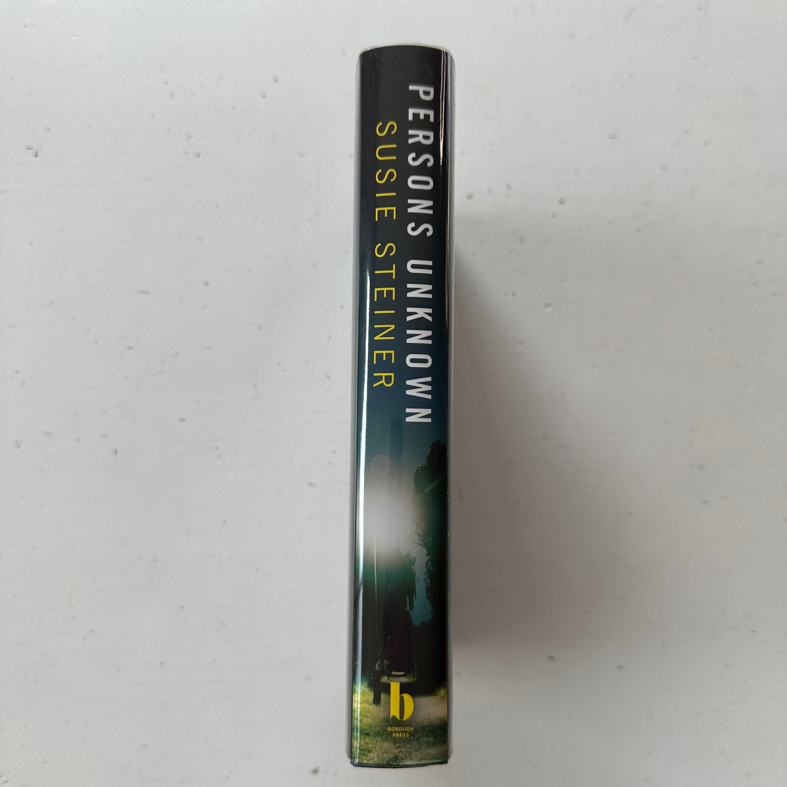 Persons Unknown Susie Steiner Hardcover First Edition First Impression Signed