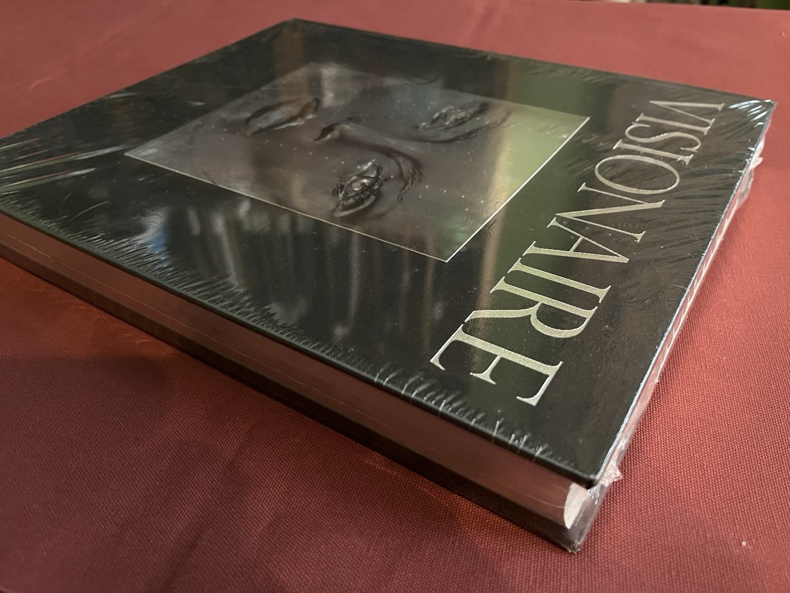 Visionaire Experiences in Art and Fashion (James Kaliardos Cecilia Dean) NWT OOP