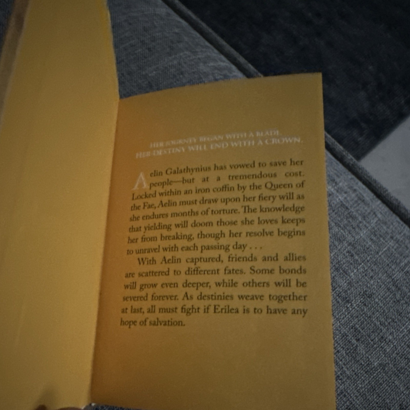 Sarah J. Maas Kingdom of Ash Throne of Glass Miniature Trade Flexibound Style