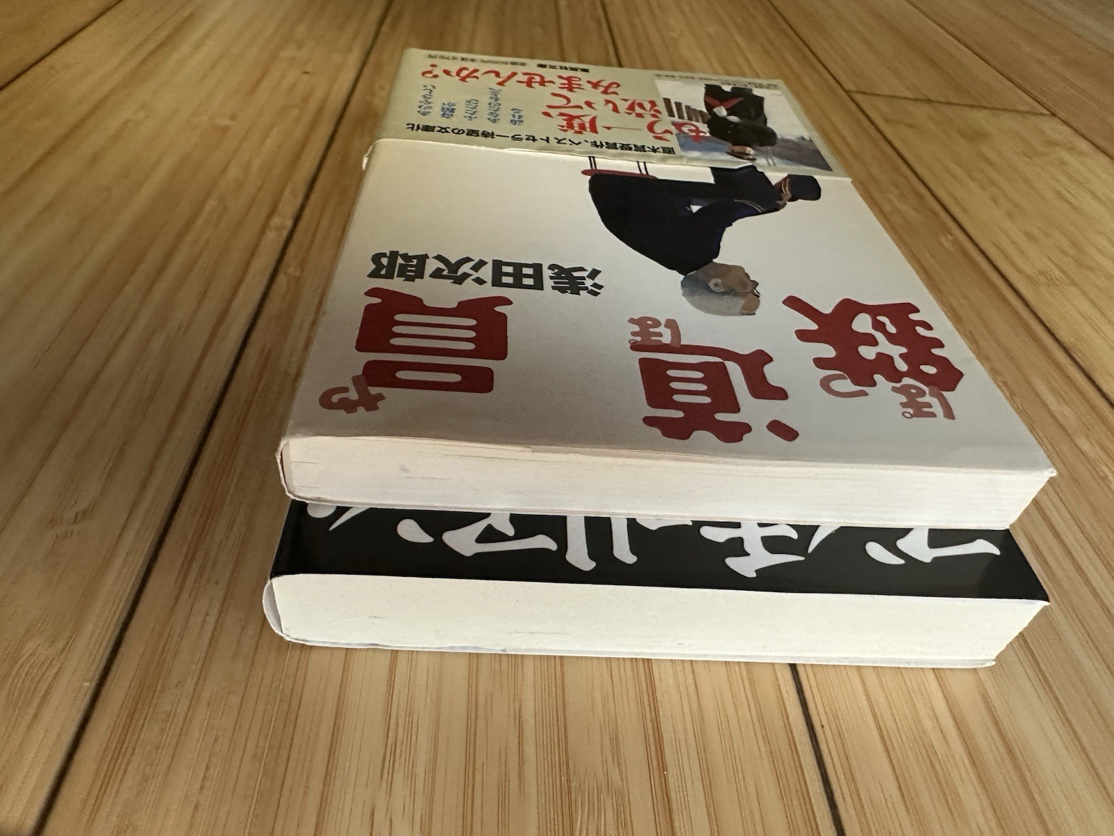 Lot of 2 Jiro Asada (Japanese Paperback) : 浅田次郎 鉄道員-ぽっぽや & マンチュリアン.リポート [文庫本]
