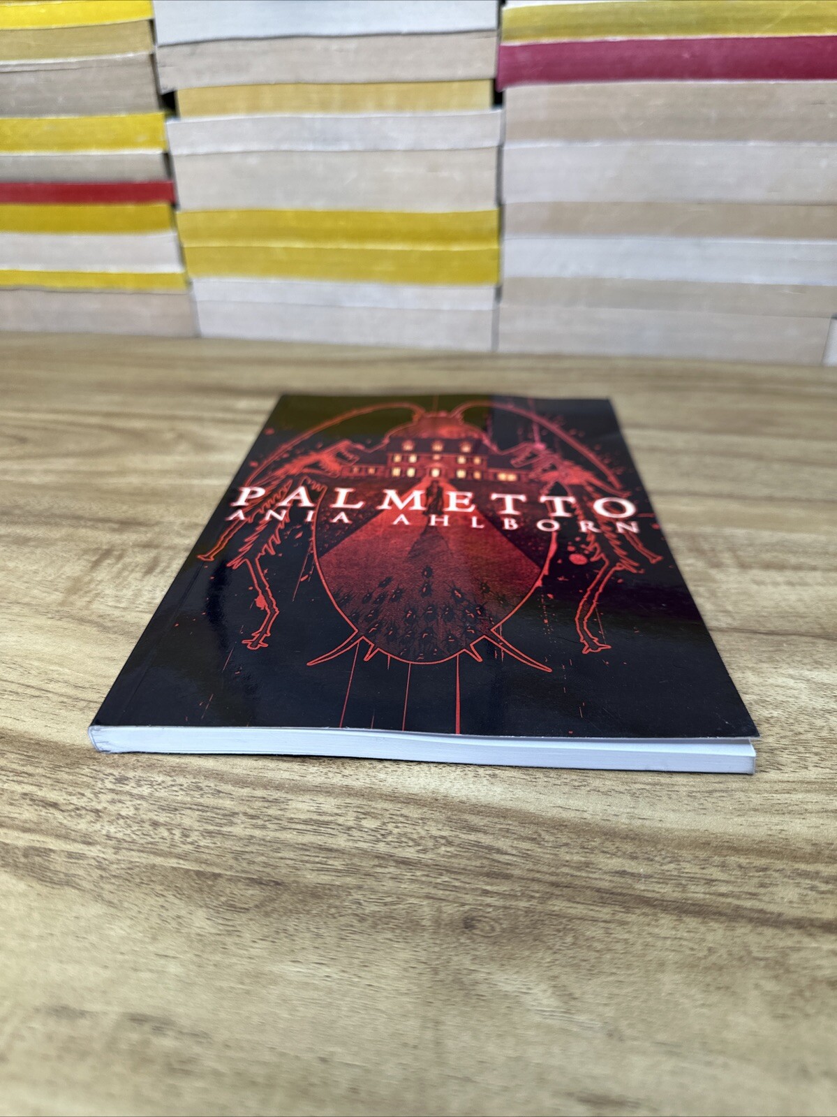 PALMETTO Ania Ahlborn Signed Limited Edition Thunderstorm Books 2021 horror