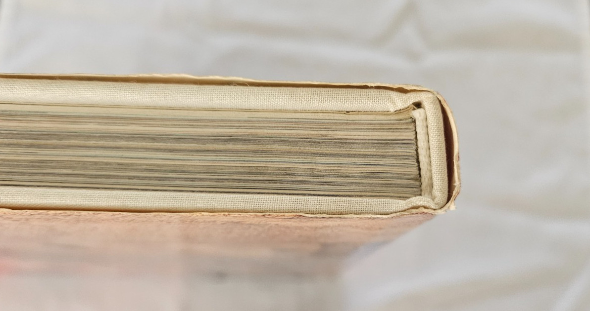 Fossils , Unknown Companions , text by Enrico Annoscia HC/DJ/1981/English