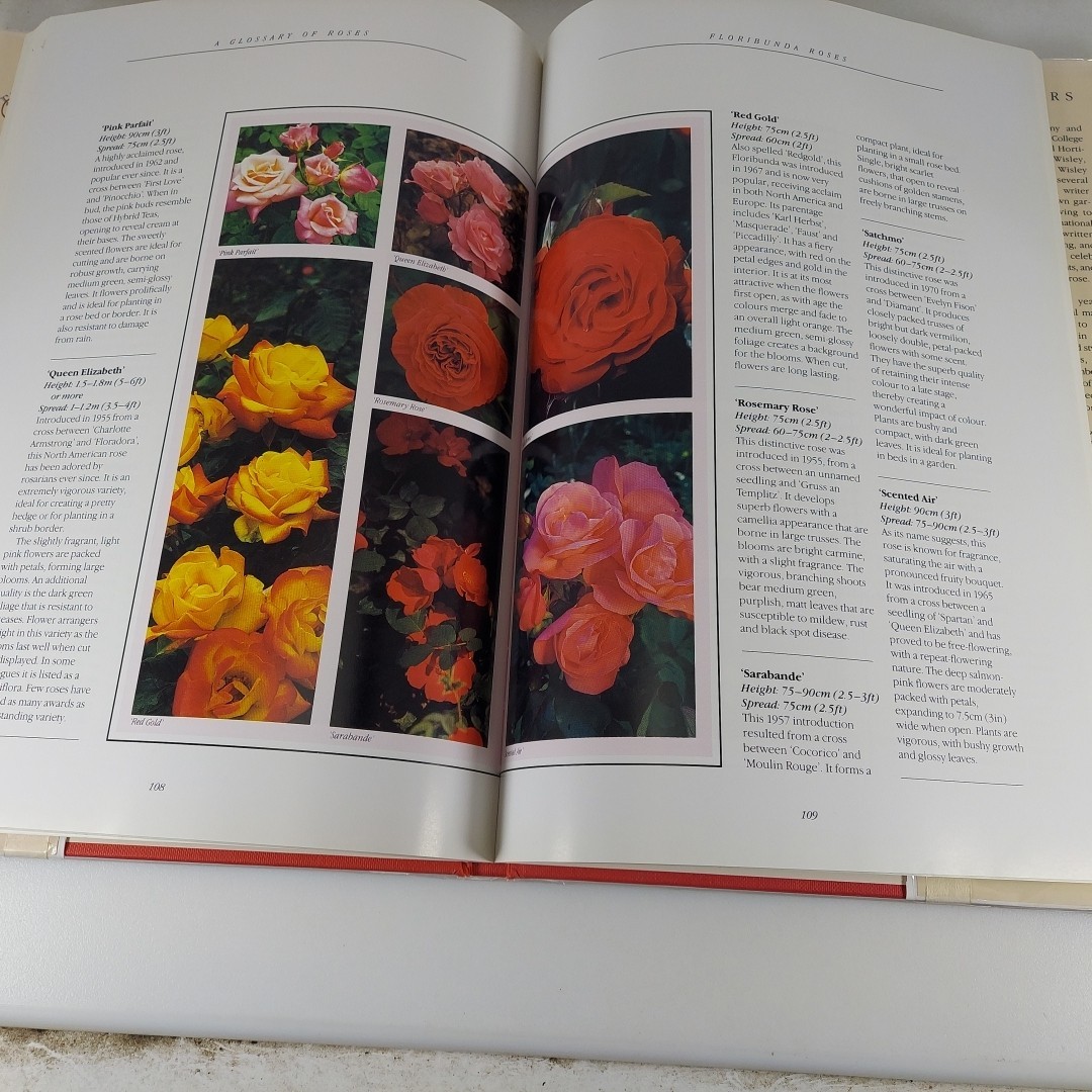The Book of the Rose David Squire 1991 Crescent Books 1st Print Illustrated HCDJ
