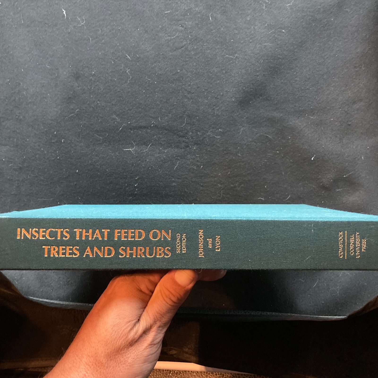 Insects That Feed On Trees And Shrubs by Johnson/Lyon (Hardcover, 1988)