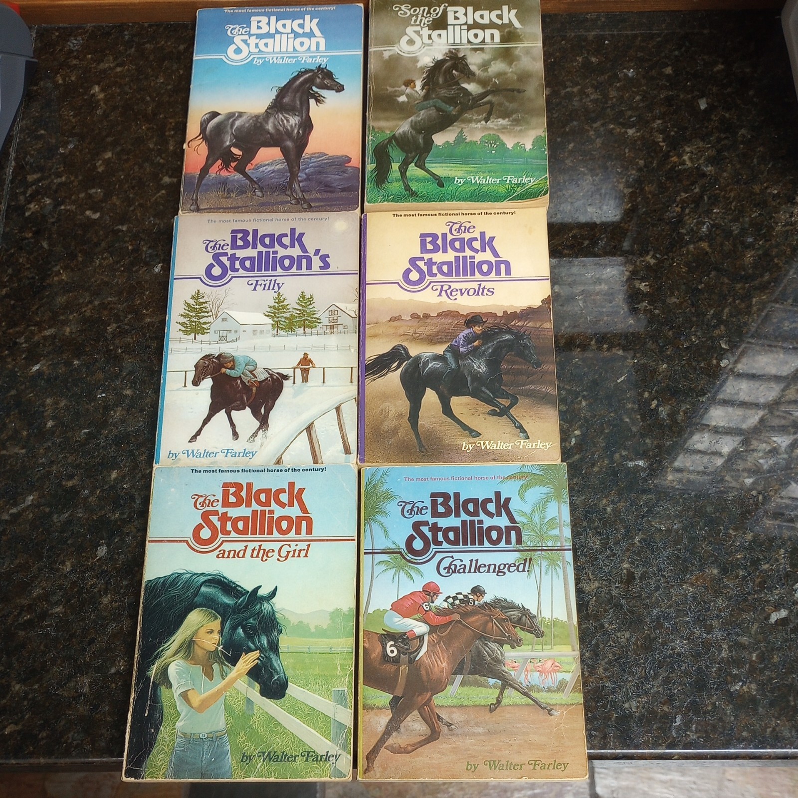 The Black Stallion Set Of varies Paperback Books 1980’s Walter Farley LOT of 6