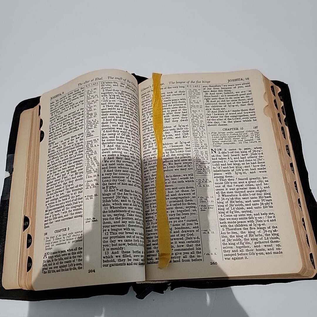 HOLY BIBLE National Bible Press Pronouncing Red Letter National