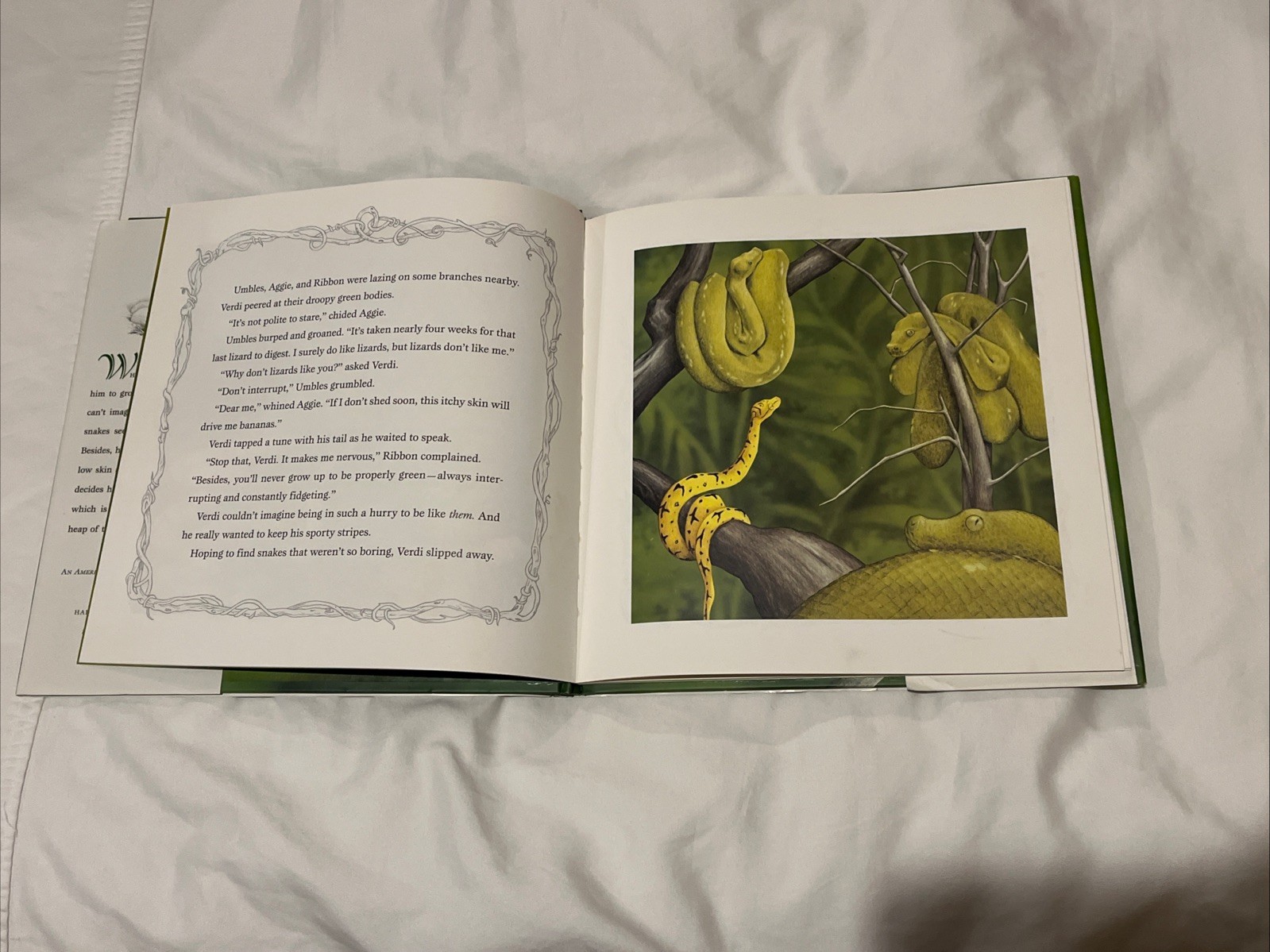 Verdi by Janell Cannon (1997, Hardcover) — One-Owner, Very Good Condition