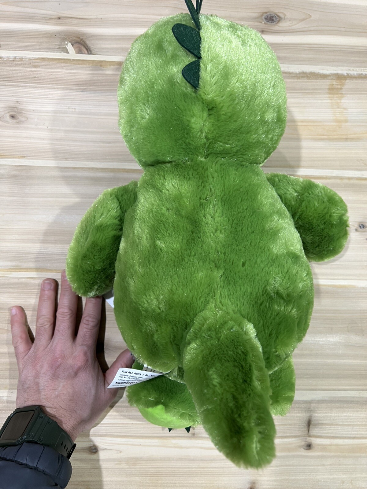 NEW How to Catch a Dinosaur – Hardcover By Wallace, Adam & Dinosaur Plush