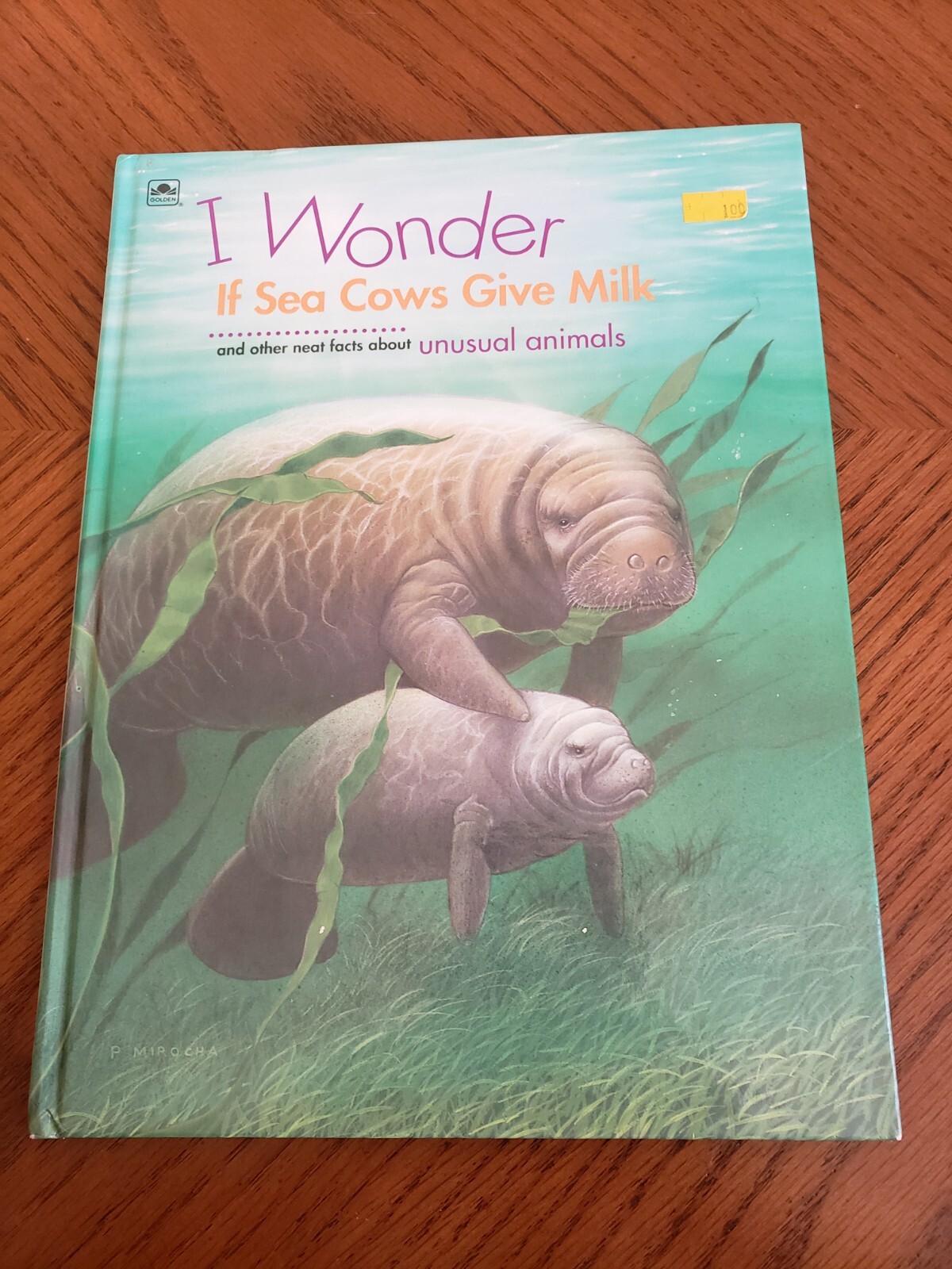 Lot of 9 Children’s books ~ Sea Animals, Wild Animals, Horses, etc