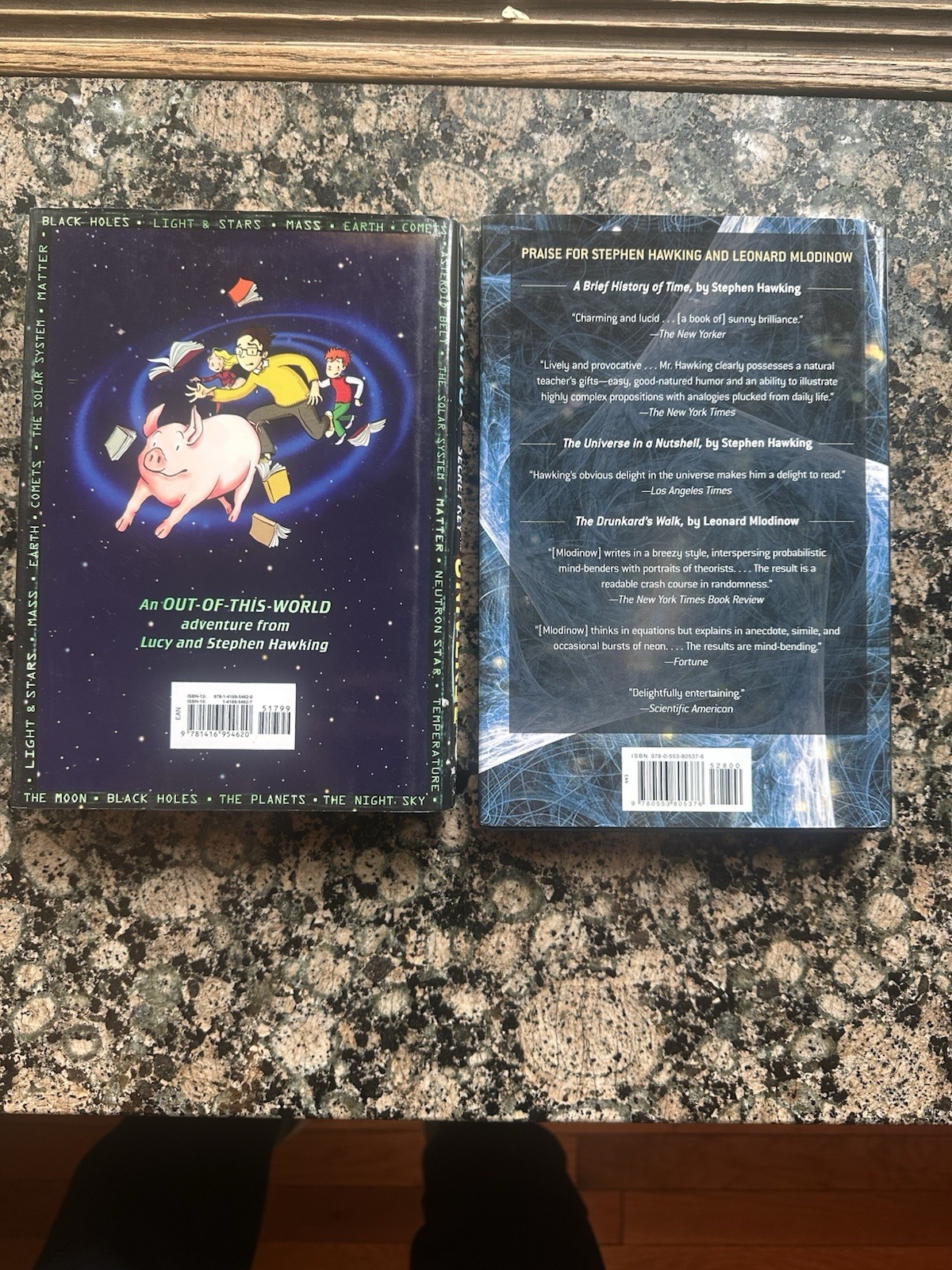 “The Grand Design” by Stephen Hawking/ Secret Key to the Universe Signed 1st Ed