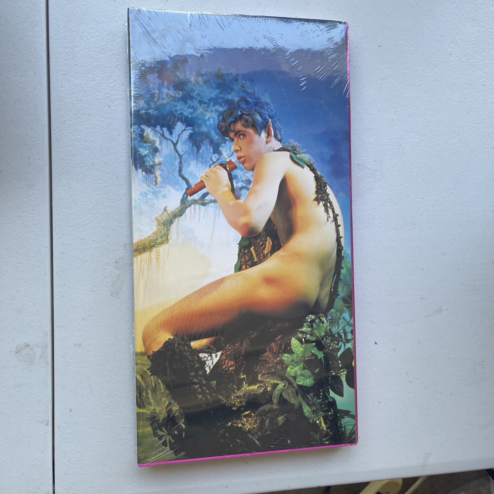 James Bidgood by Bruce Benderson (1999, Hardcover)