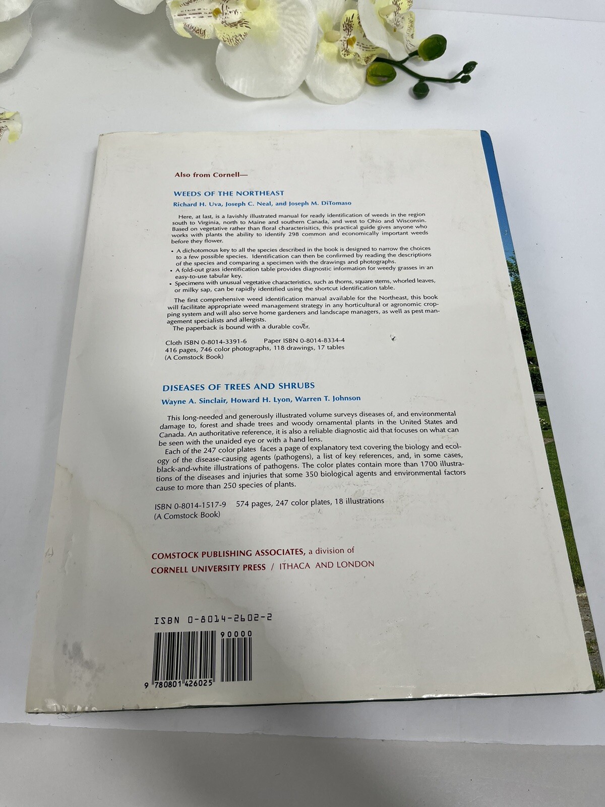Insects That Feed on Trees and Shrubs by Howard H. Lyon and Warren T. Johnson…