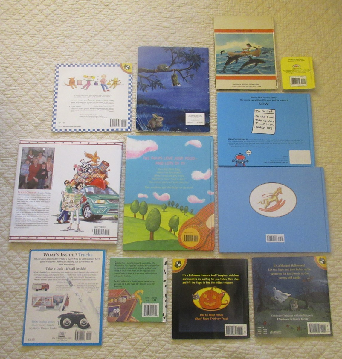 Childrens’ Book Collection Mixed Lot (12-Set)