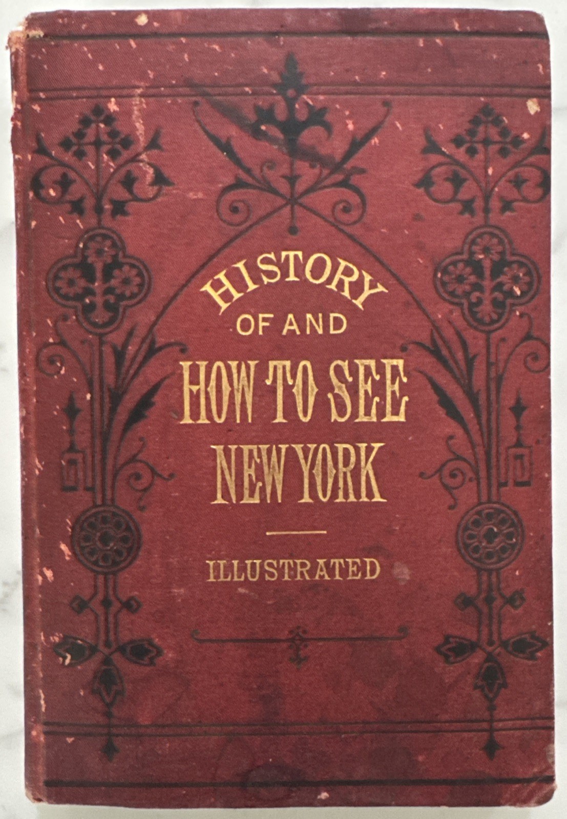 History of and How to See New York and Its Environs by Robert Macoy (HC, 1876)