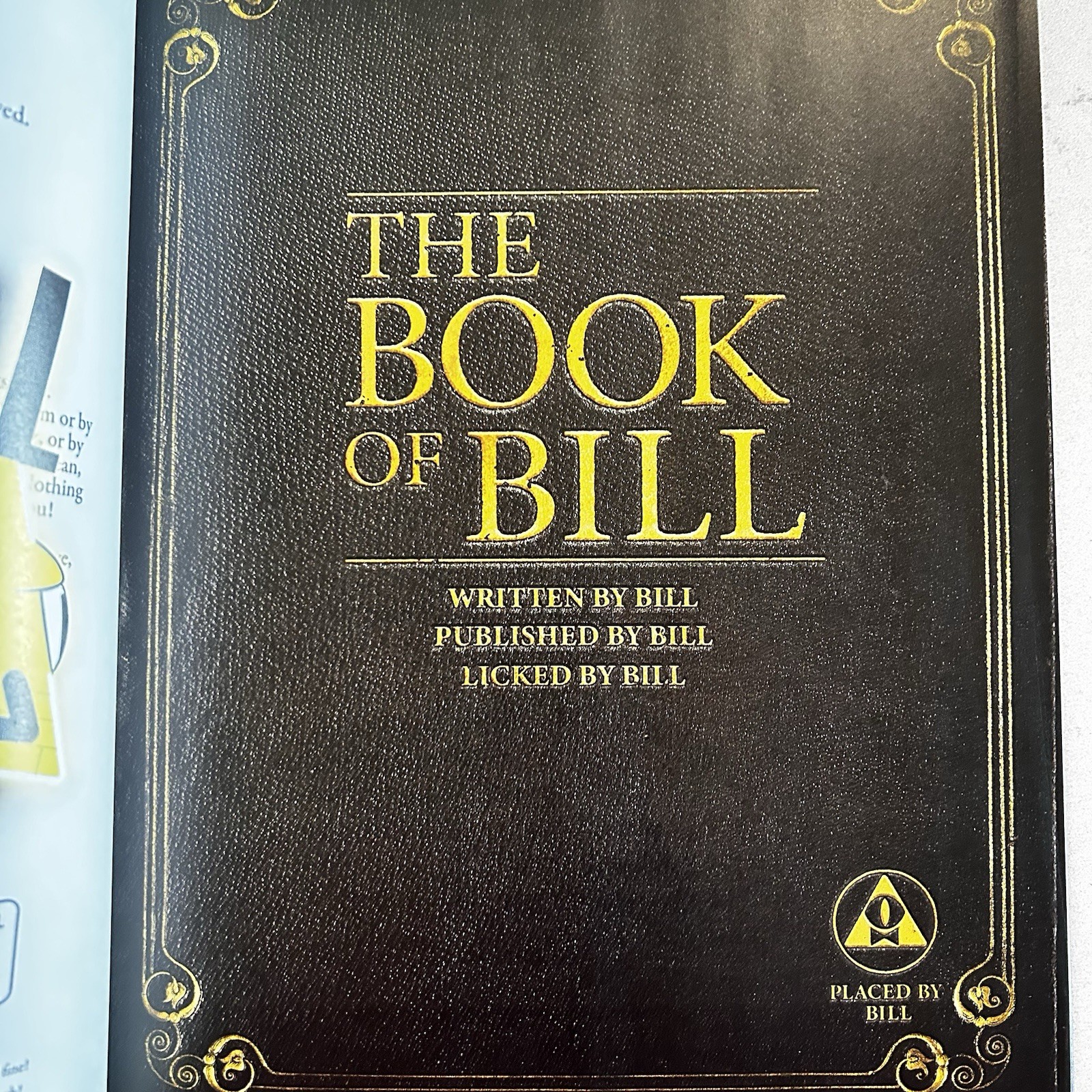The Book of Bill Alex Hirsch Hardcover first edition
