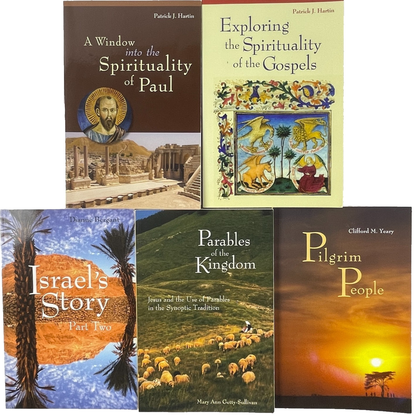 Biblical Studies Lot 5 Books Liturgical Press Spirituality Paul Gospels Parables