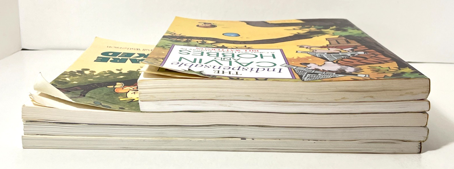 LOT 5 Calvin and Hobbs Softcover Books Bill Watterson Good Condition 1991-1996