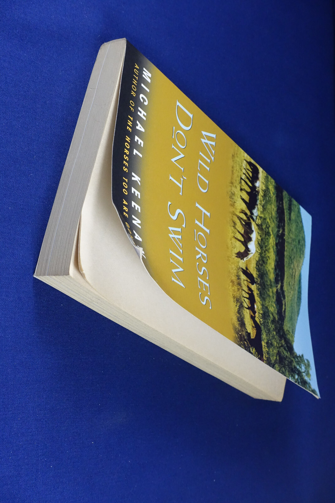 Signed Book WILD HORSES DON’T SWIM Michael Keenan WEST KIMBERLEY FITZROY RIVER