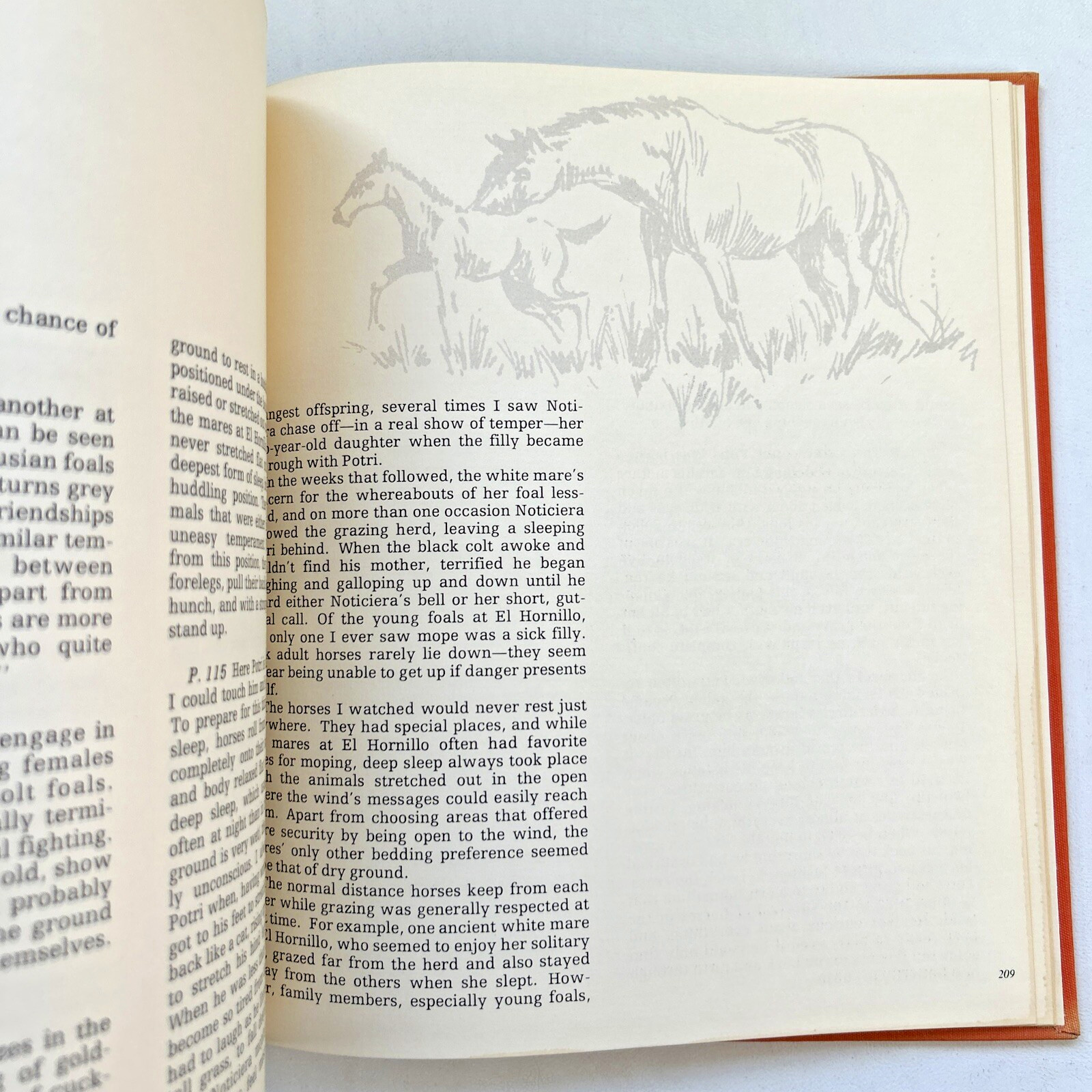 EQUUS by Robert Vavra – First Edition 1977 Hardcover Vintage