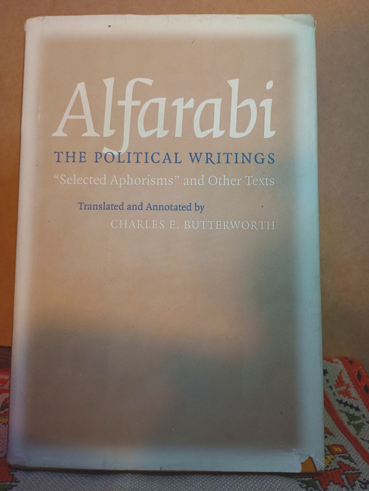 The Political Writings: Selected Aphorisms And Other Texts