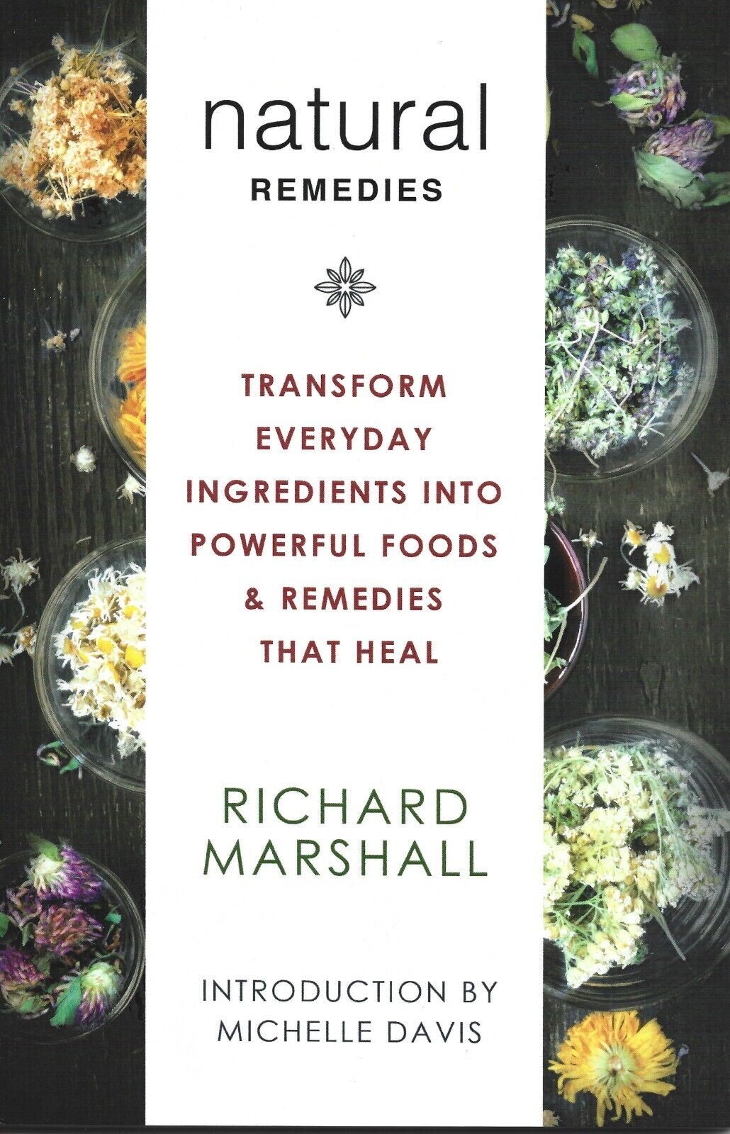 Natural Remedies Must Have Alternative EMERGENCY CRISIS SURVIVAL BOOK BRAND NEW