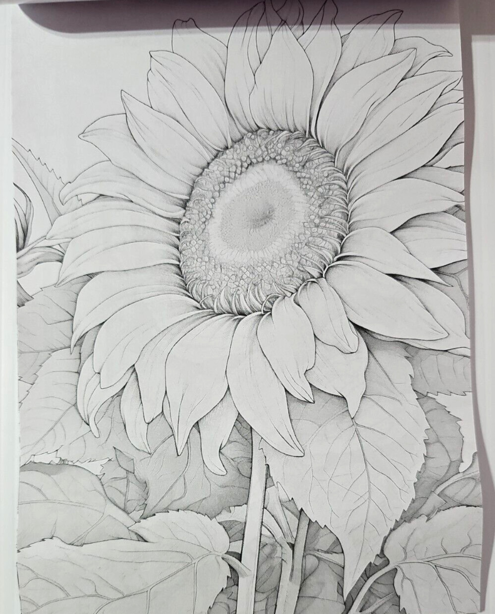 Coloring Book of Flowers 6.75″x10″ w/ 20 Pages of Single-Sided Images