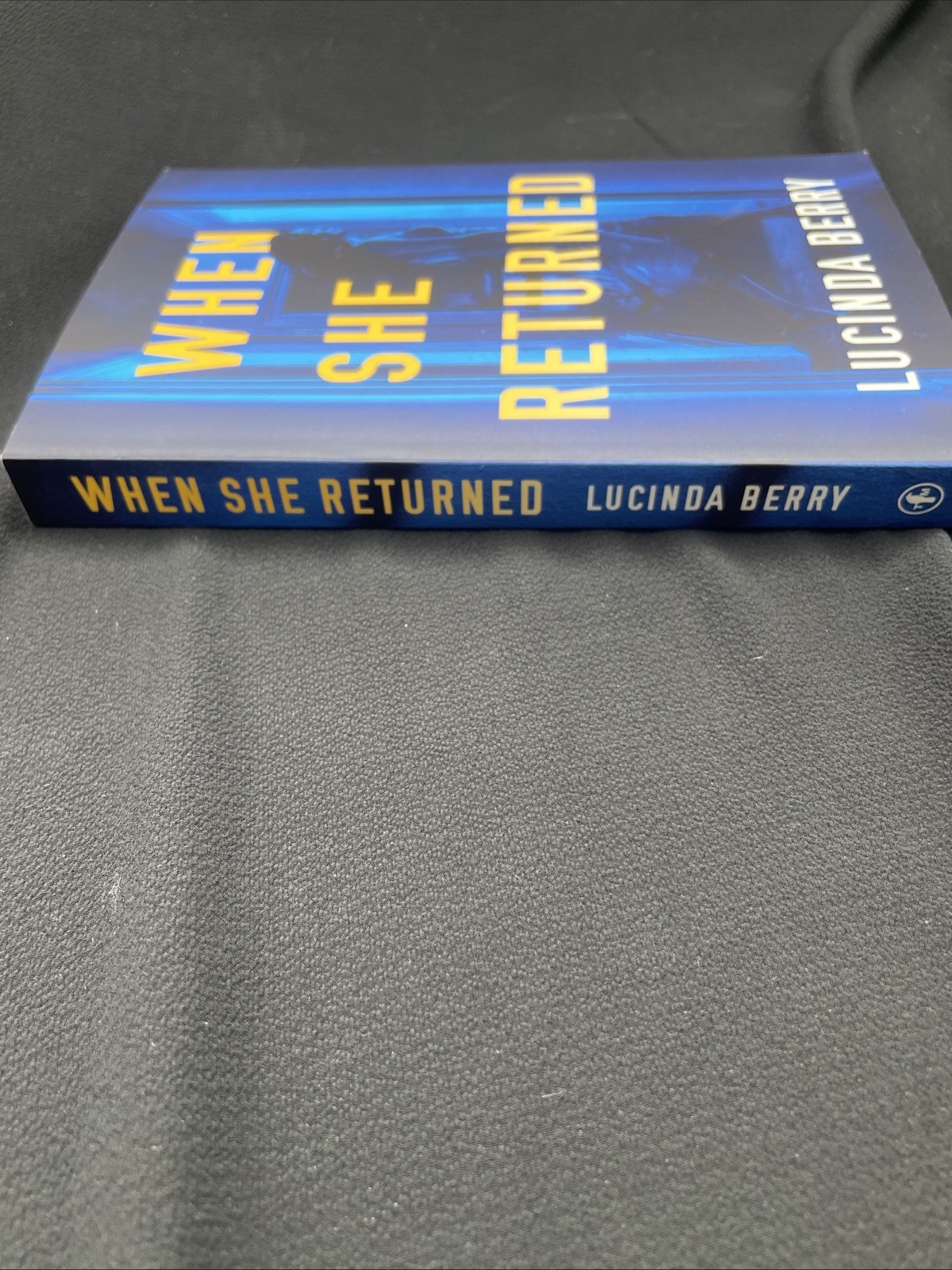 When She Returned, Lucinda Berry new trade PB Thriller, mystery, chilling!