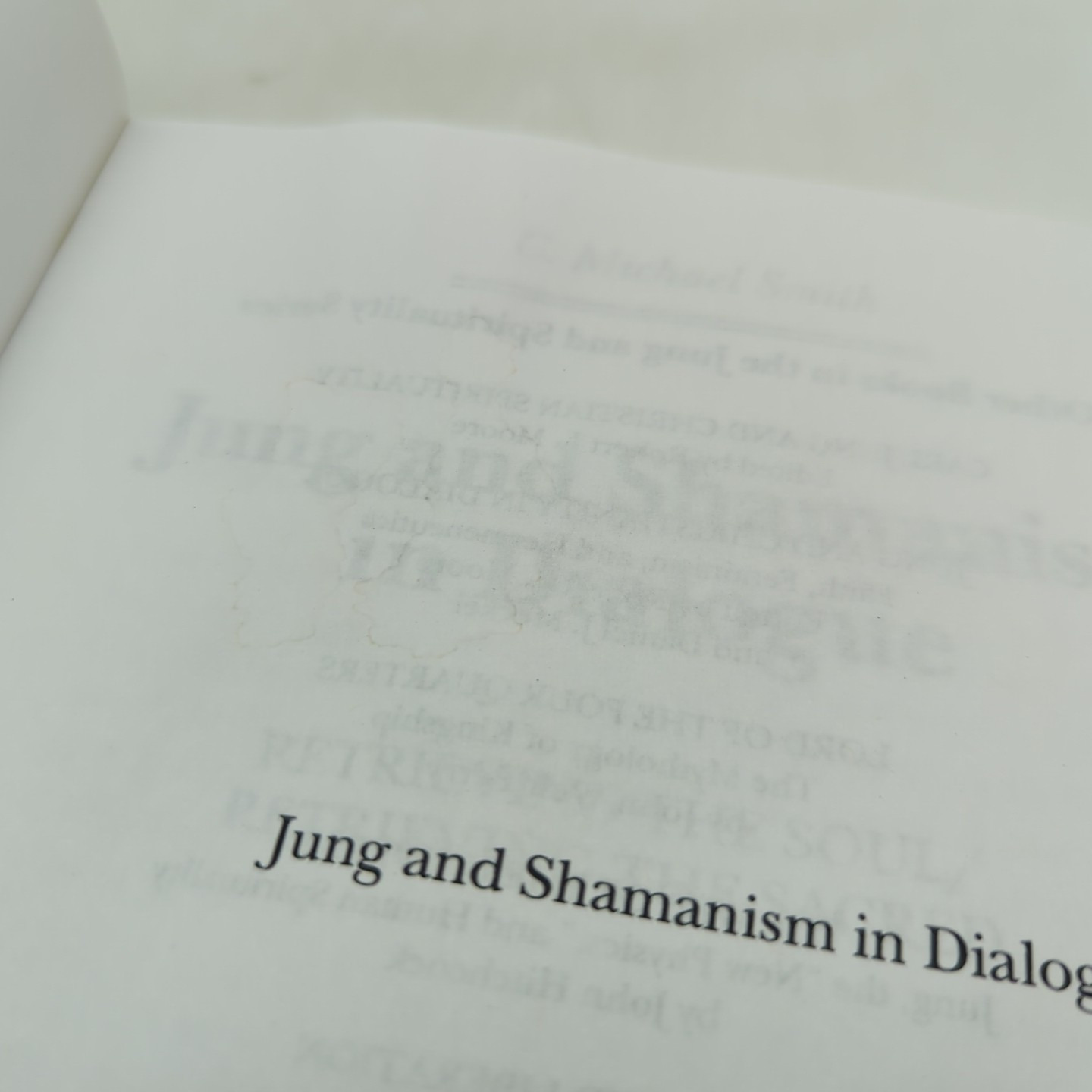 Jung and Shamanism in Dialogue by C Michael Smith PB 2007 Damaged