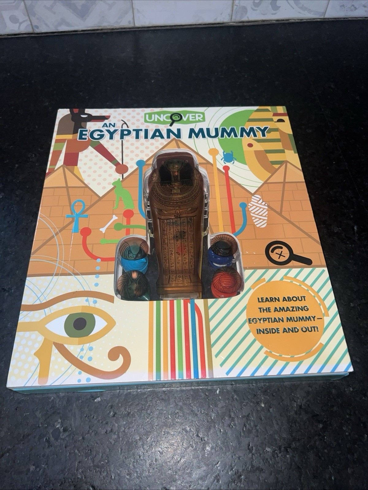 Uncover an Egyptian Mummy ,Large Book 12”