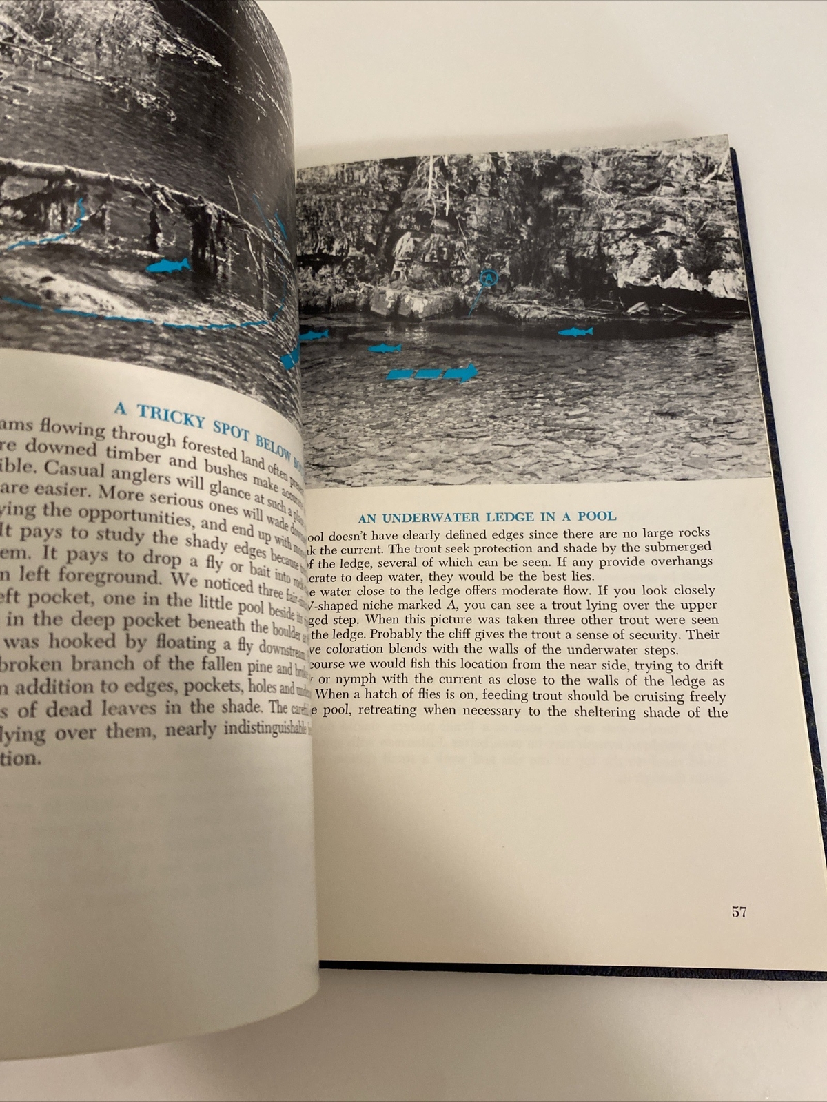 How to find Fish-and Make them Strike. by Joseph D. Bates Jr. 1974 abv