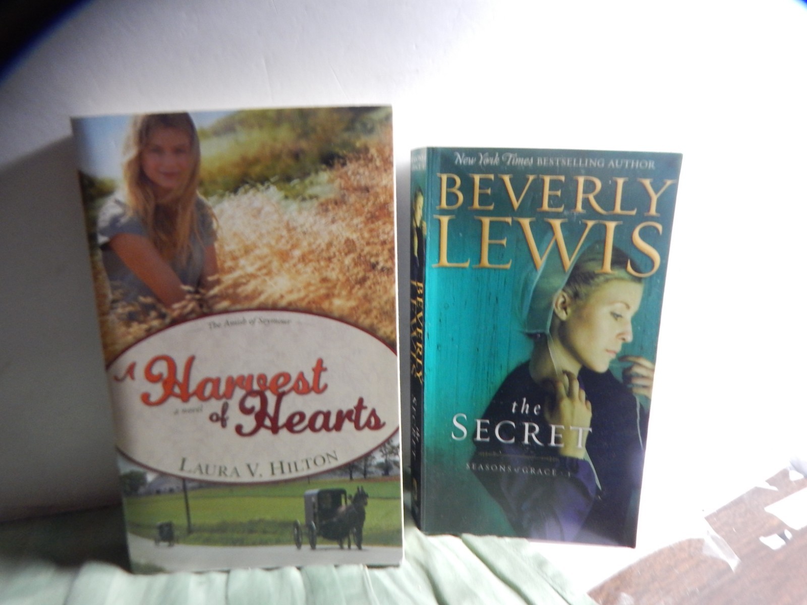 *NEW PRICE Lot of 19 Paperback Amish Romance Novels – Various Titles/Authors